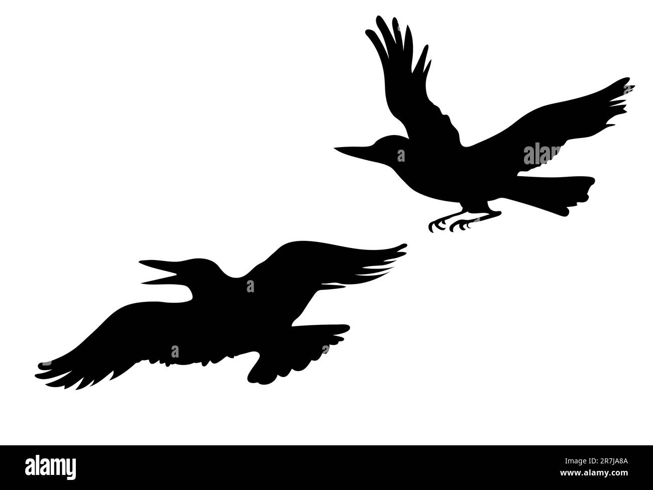 vector drawing two ravens on white background Stock Vector Image & Art ...