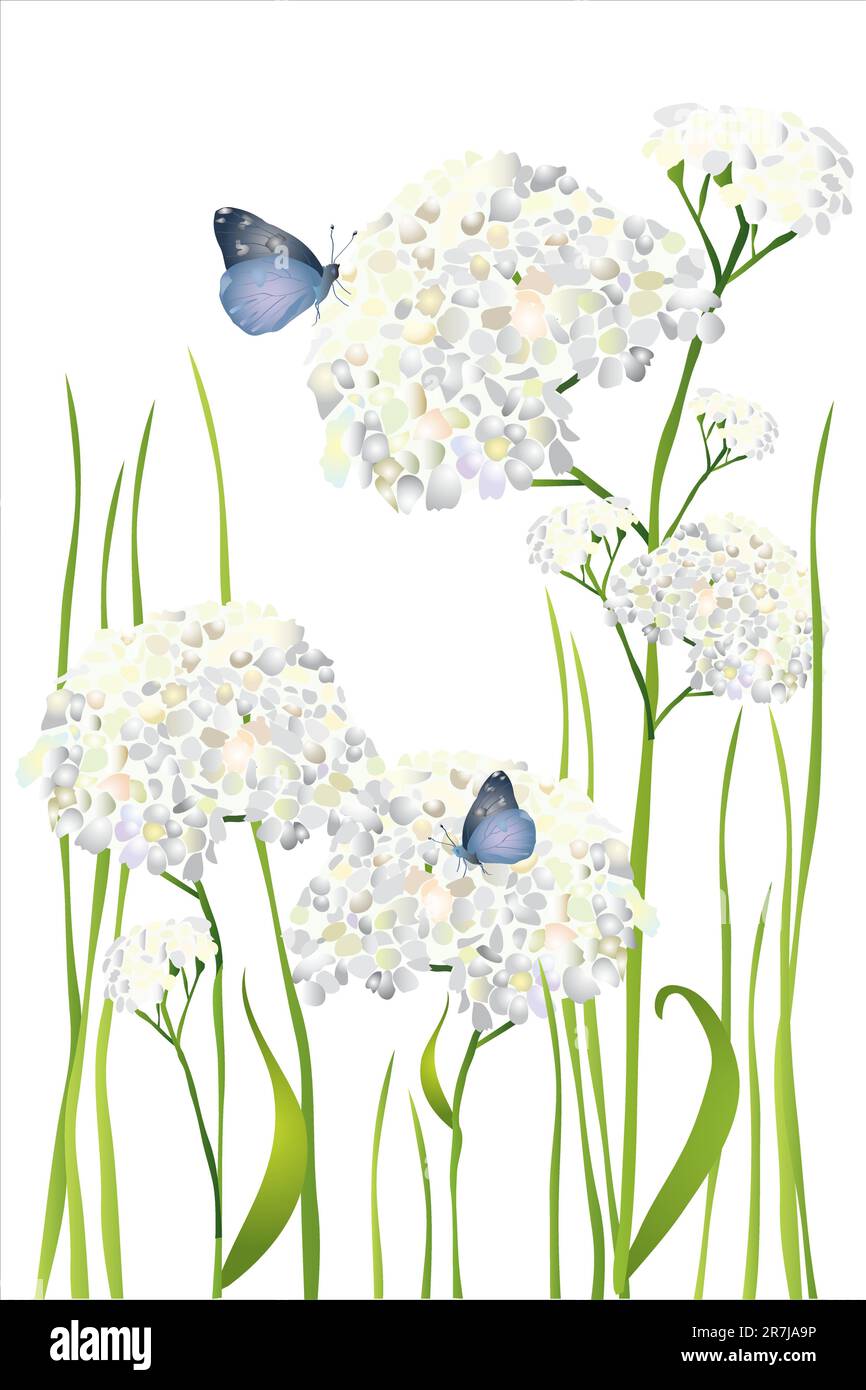 Beautiful Butterfly and flowers on white background Stock Vector Image ...