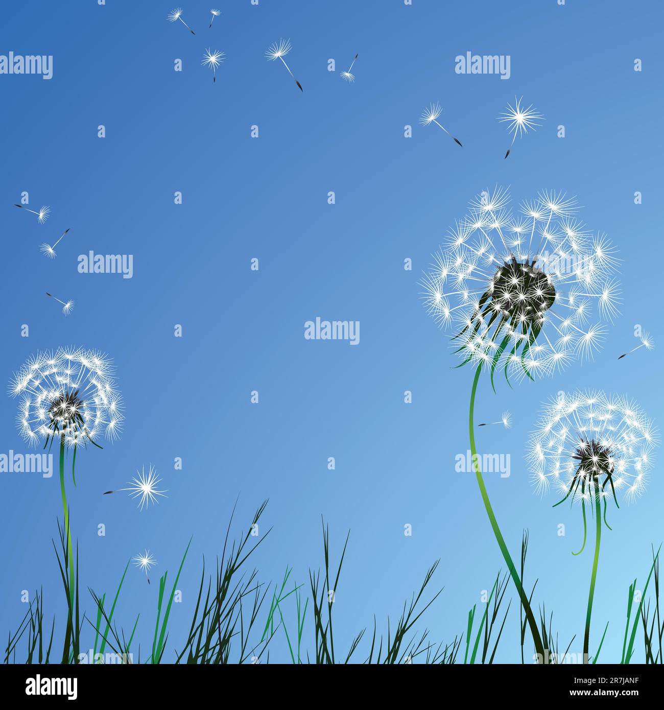 Realistic dandelion grass blue sky. Vector illustration. Stock Vector