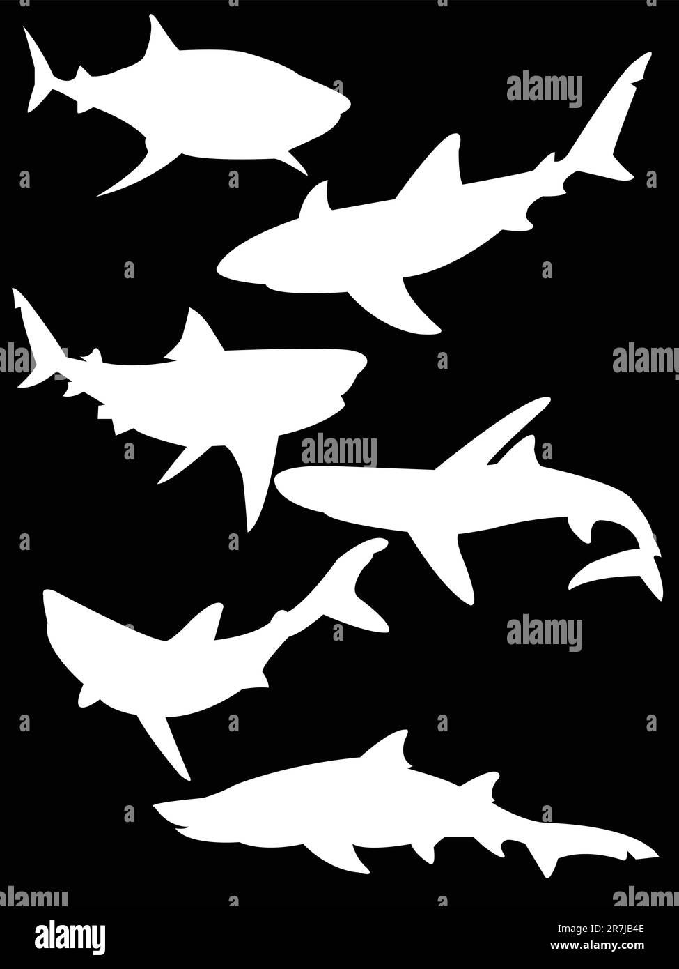 collection of sharks silhouette isolated on black vector Stock Vector