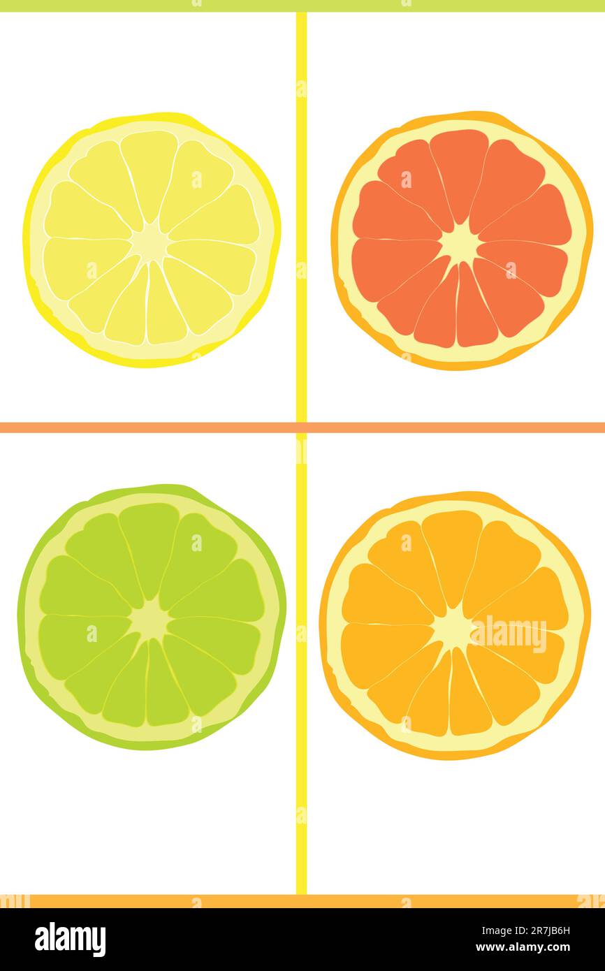 Grapefruit picture Stock Vector Images Alamy