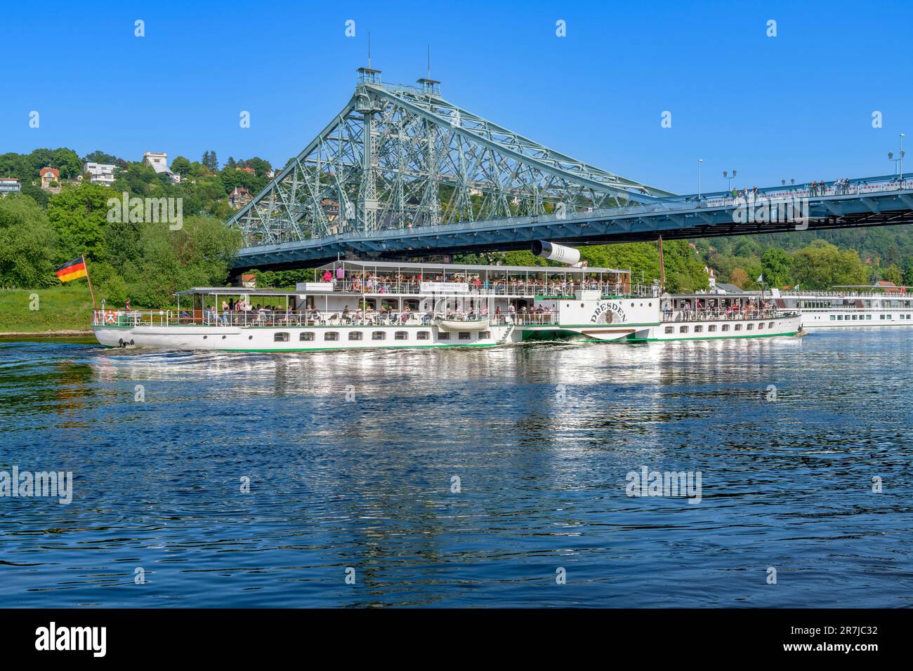 Paddle steamship Dresden with chimney lowered to sail under Loschwitz Bridge on the River Elbe. In the background is the leafy district of Loschwitz. Stock Photo
