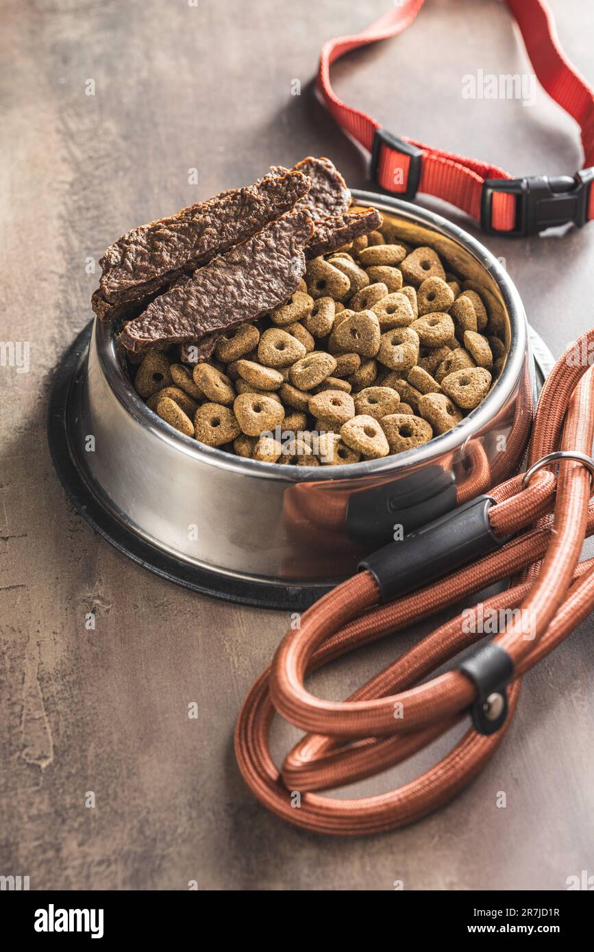 Dog lead and the dry pet food Stock Photo