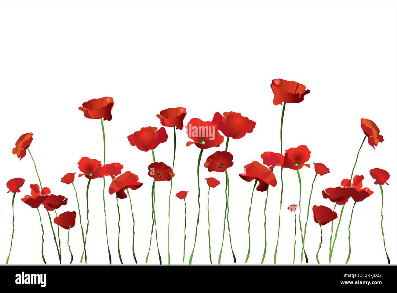 Vector flowers on white background (vector illustration Stock Vector ...