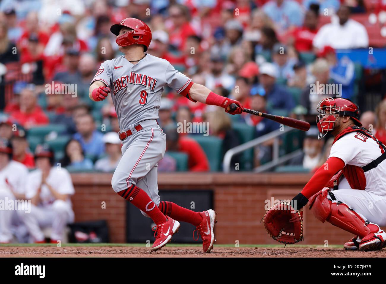 ST. LOUIS, MO - JUNE 11: St. Louis Cardinals first baseman Brendan Donovan  (33) bats during an MLB game against the Cincinnati Reds on June 11, 2023  at Busch Stadium in St.