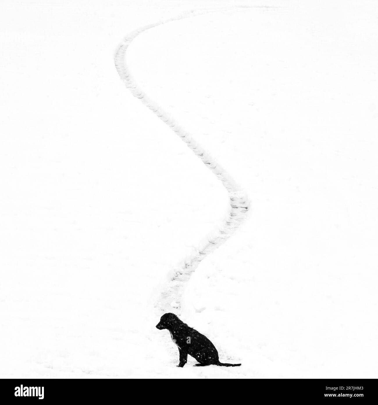 Minimalist photography is an aesthetic of omission and solitude that expresses the enigma of our world. Stock Photo