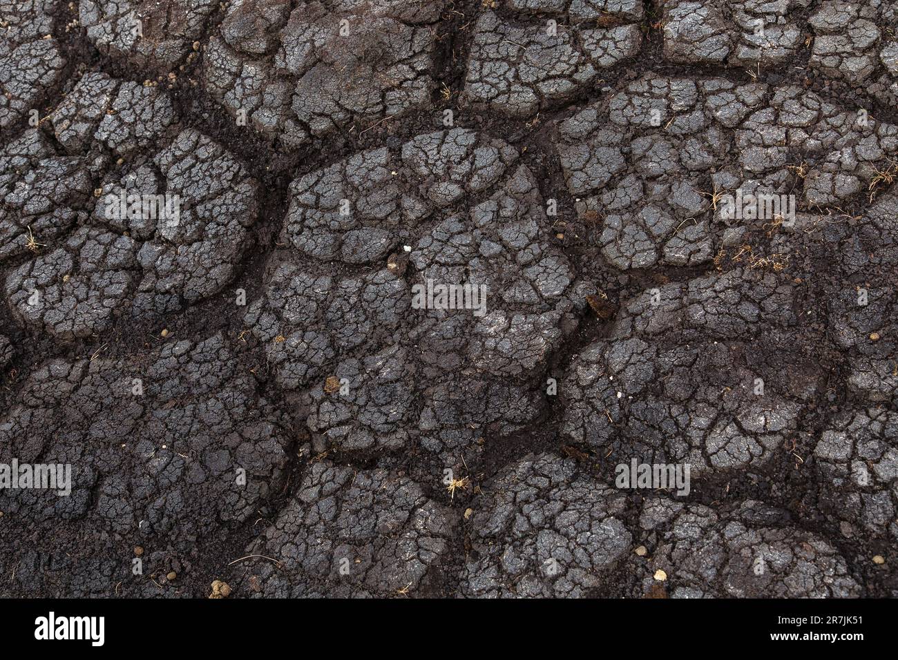 Dark Brown Texture of Polygonal Cracked Soil, Scalpay of Harris, Hebrides, Outer Hebrides, Western Isles, Scotland, United Kingdom, Great Britain Stock Photo