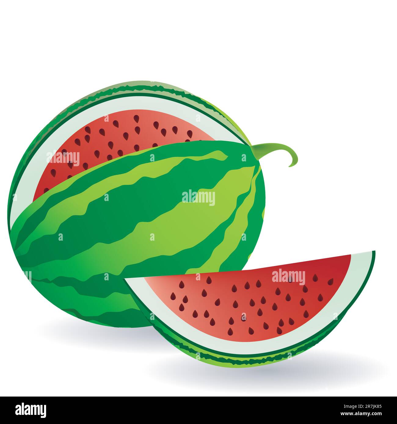 Watermelon with fruit slice Stock Vector Image & Art Alamy