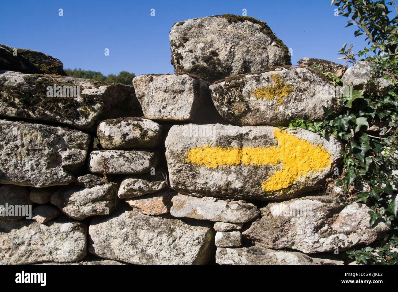 A yellow arrow on an old stone wall points the way to pilgrims walking the Camino de Santiago in Galicia, Spain. Stock Photo