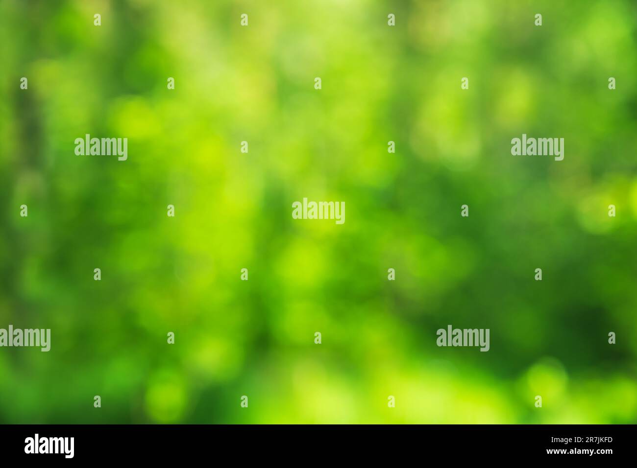Green abstract natural blurred background. Copy space, defocused. Stock Photo