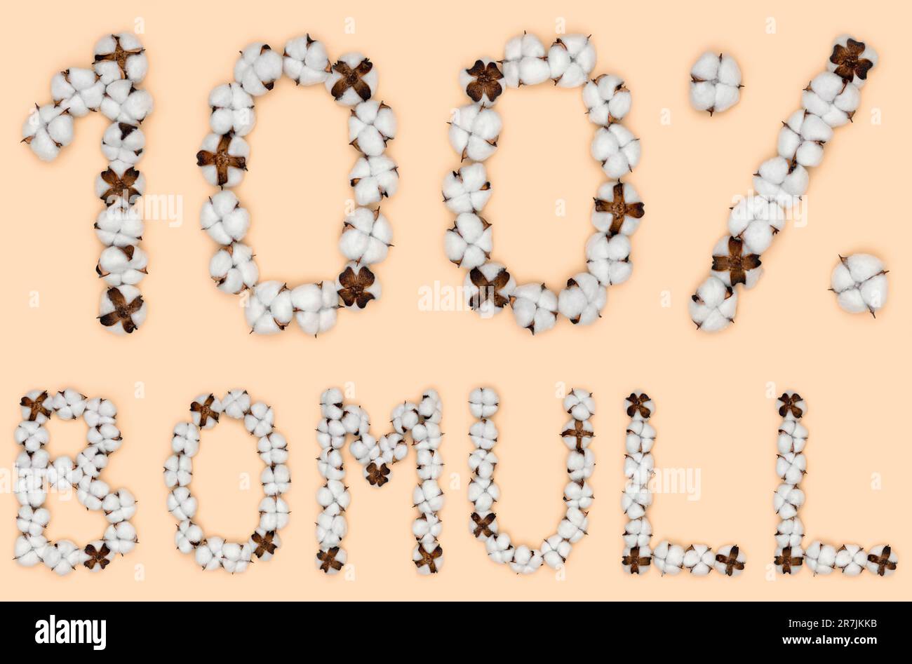Lettering 100% Bomull from Norwegian or Swedish language means cotton, made  of cotton flowers. Concept of organic raw material Stock Photo - Alamy
