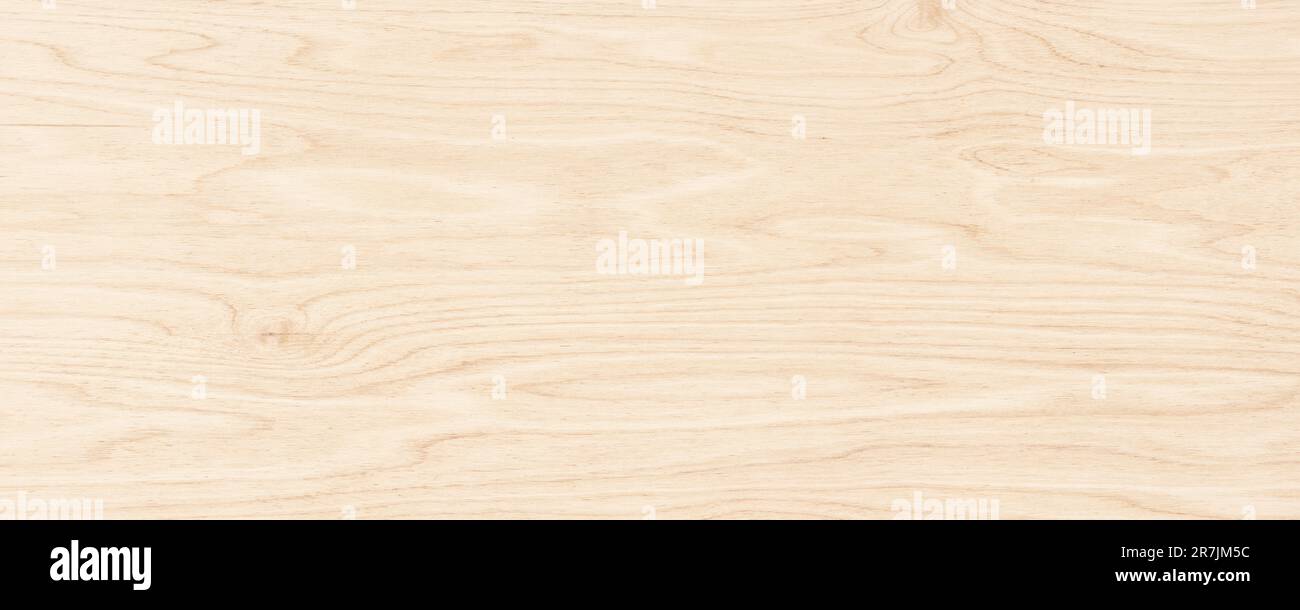 wood texture with empty space. wooden background Stock Photo