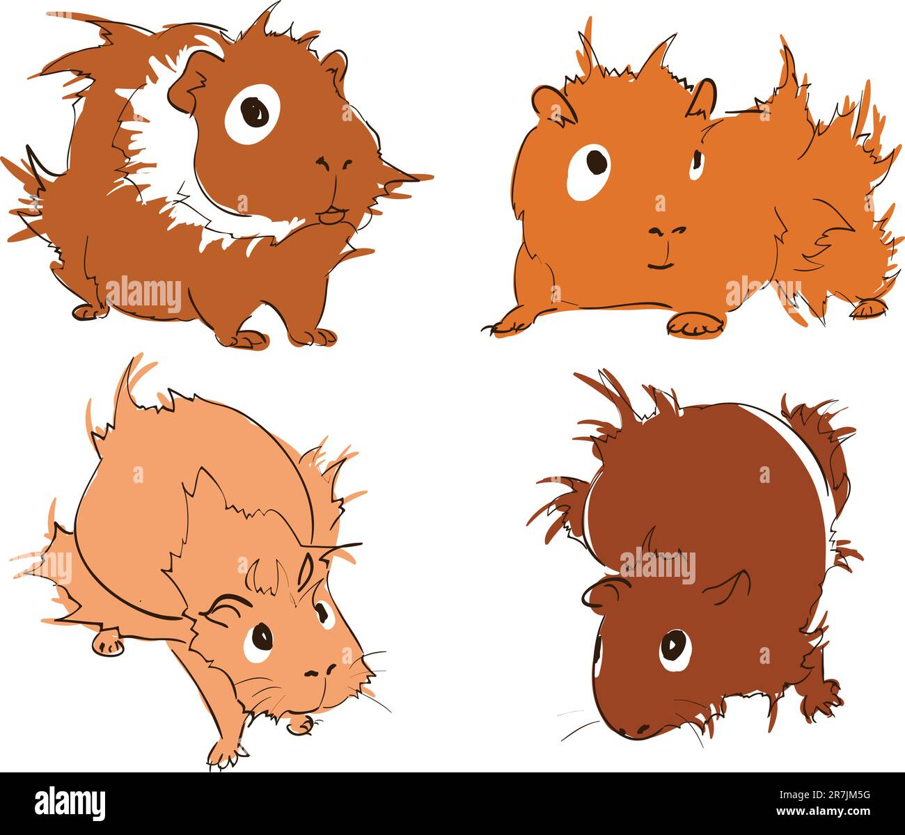 Vector illustration of cute guinea pigs Stock Vector Image & Art - Alamy