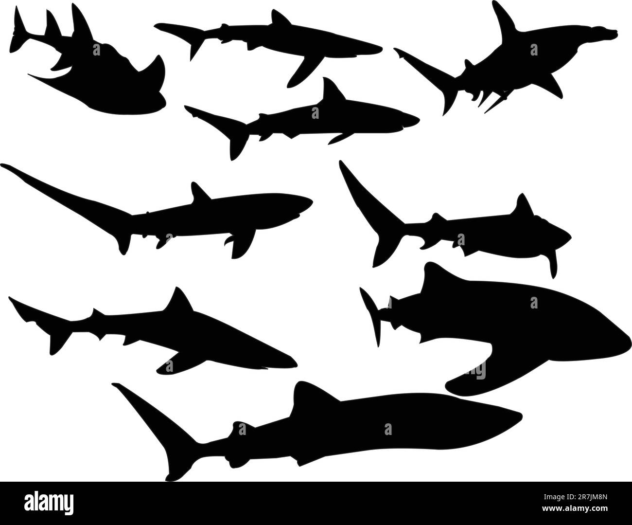 sharks collection - vector Stock Vector Image & Art - Alamy