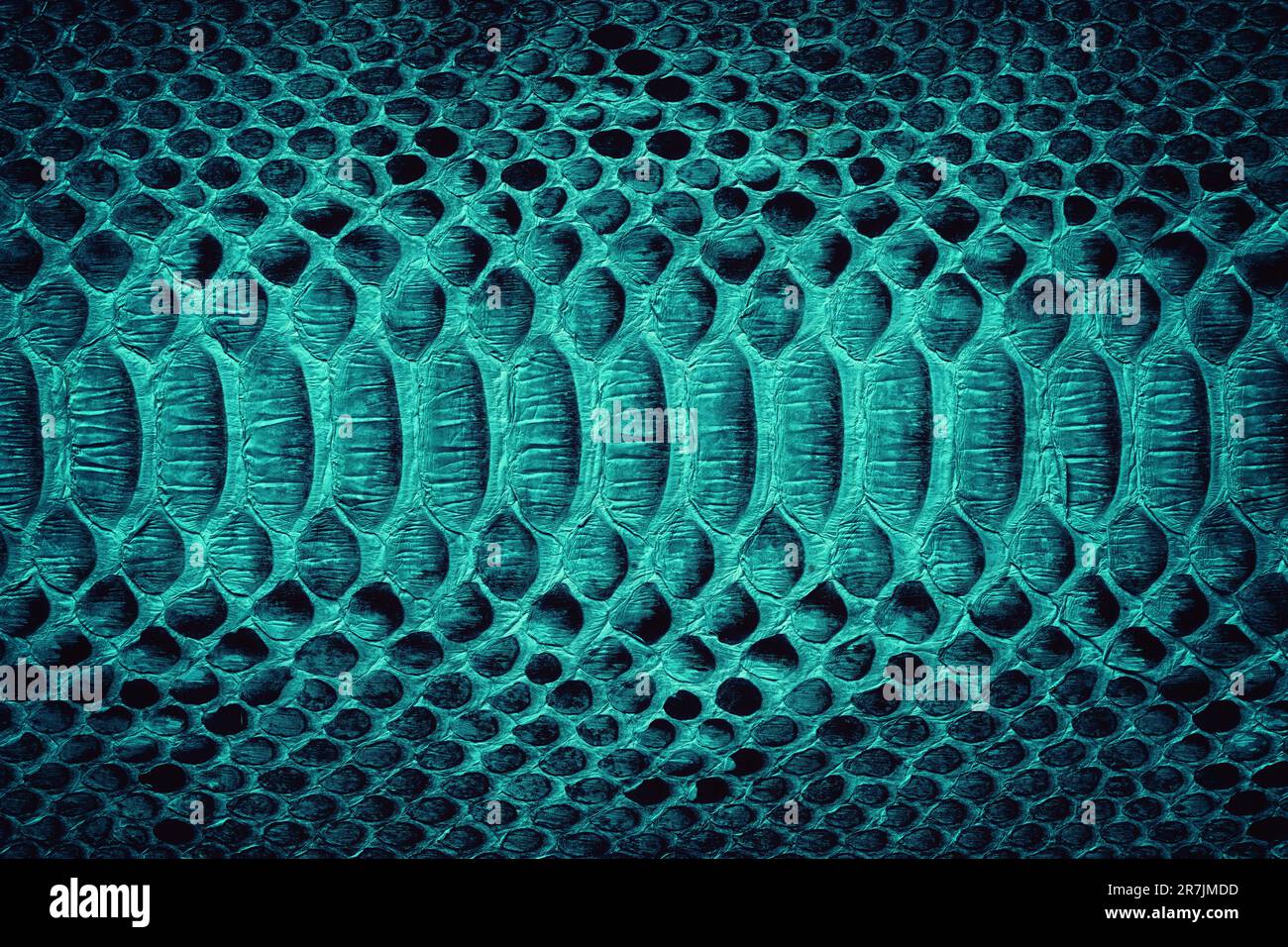 blue snake skin texture, colored python leather as background Stock ...