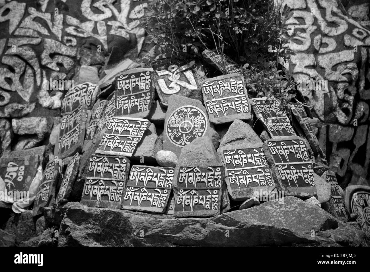 Mani stones etched with Buddhist prayers line the trails in Nepal's Khumbu region. Stock Photo