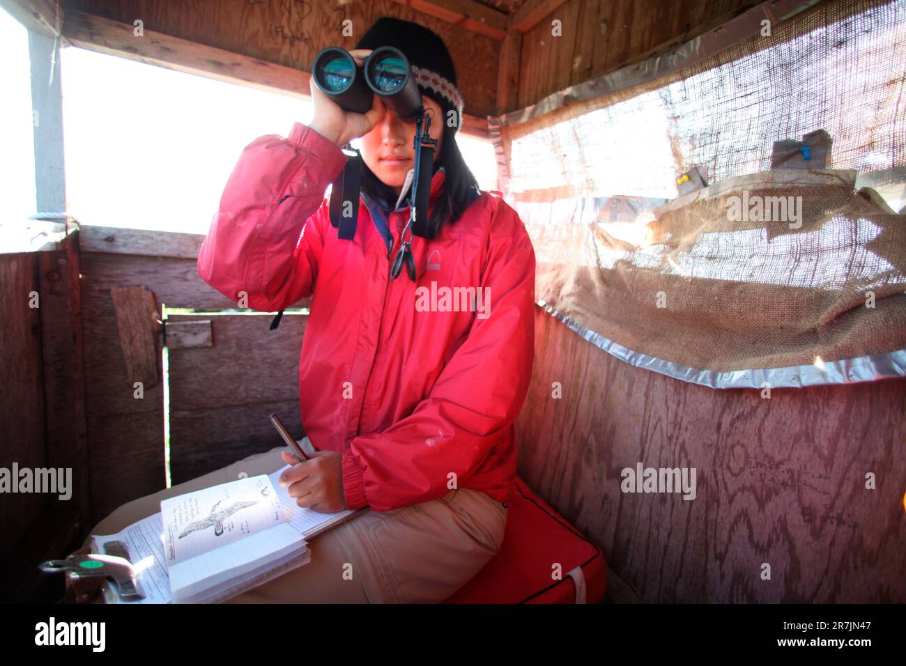 Project Puffin researchers Maki Briggs logs many hours of gathering