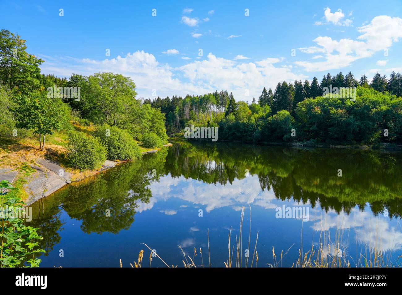 Landscape at the Unterer Eschenbacher Teich. Nature at the lake near