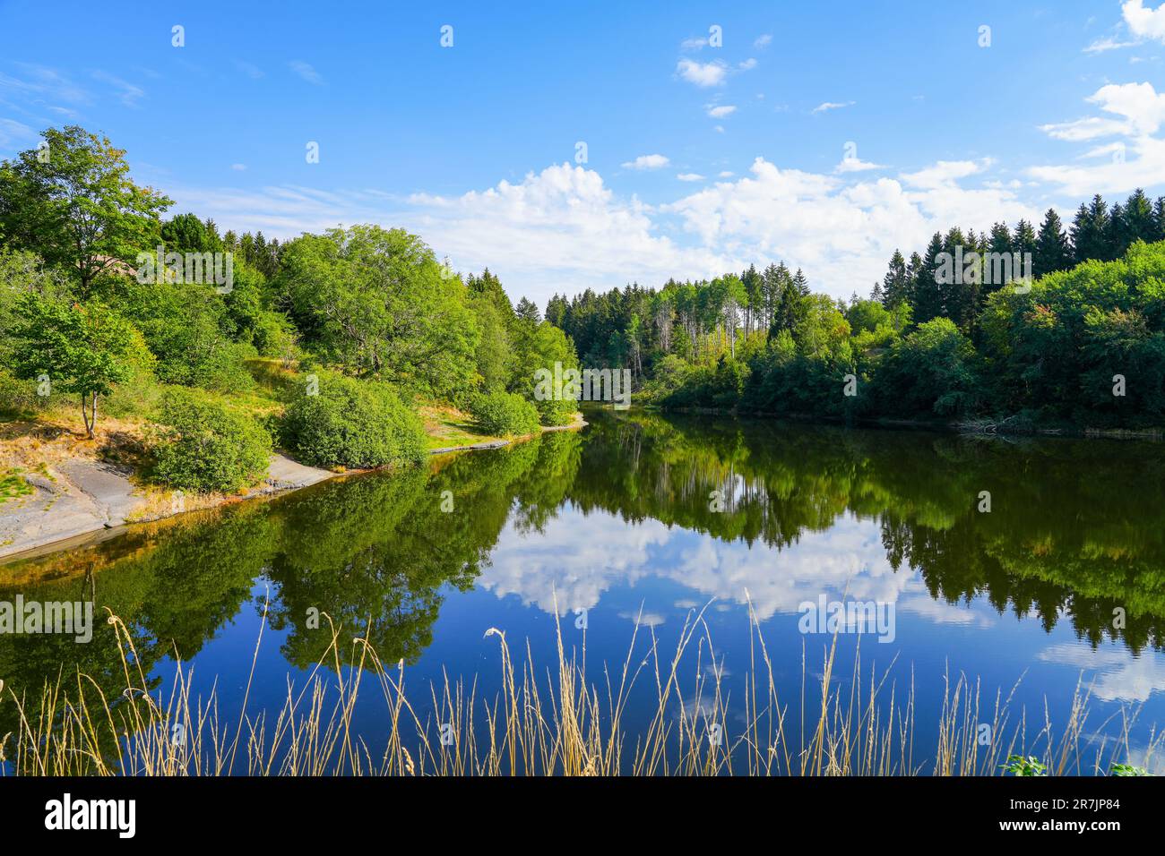 Landscape at the Unterer Eschenbacher Teich. Nature at the lake near