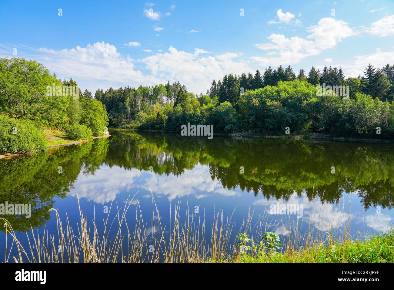 Landscape at the Unterer Eschenbacher Teich. Nature at the lake near