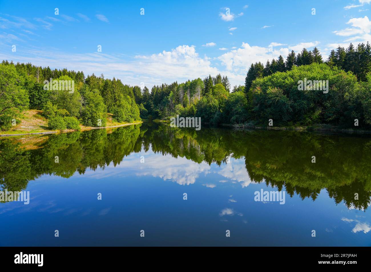 Landscape at the Unterer Eschenbacher Teich. Nature at the lake near