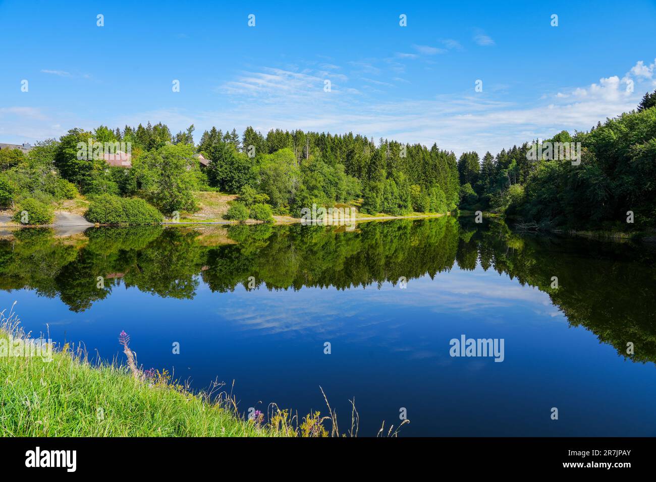 Landscape at the Unterer Eschenbacher Teich. Nature at the lake near