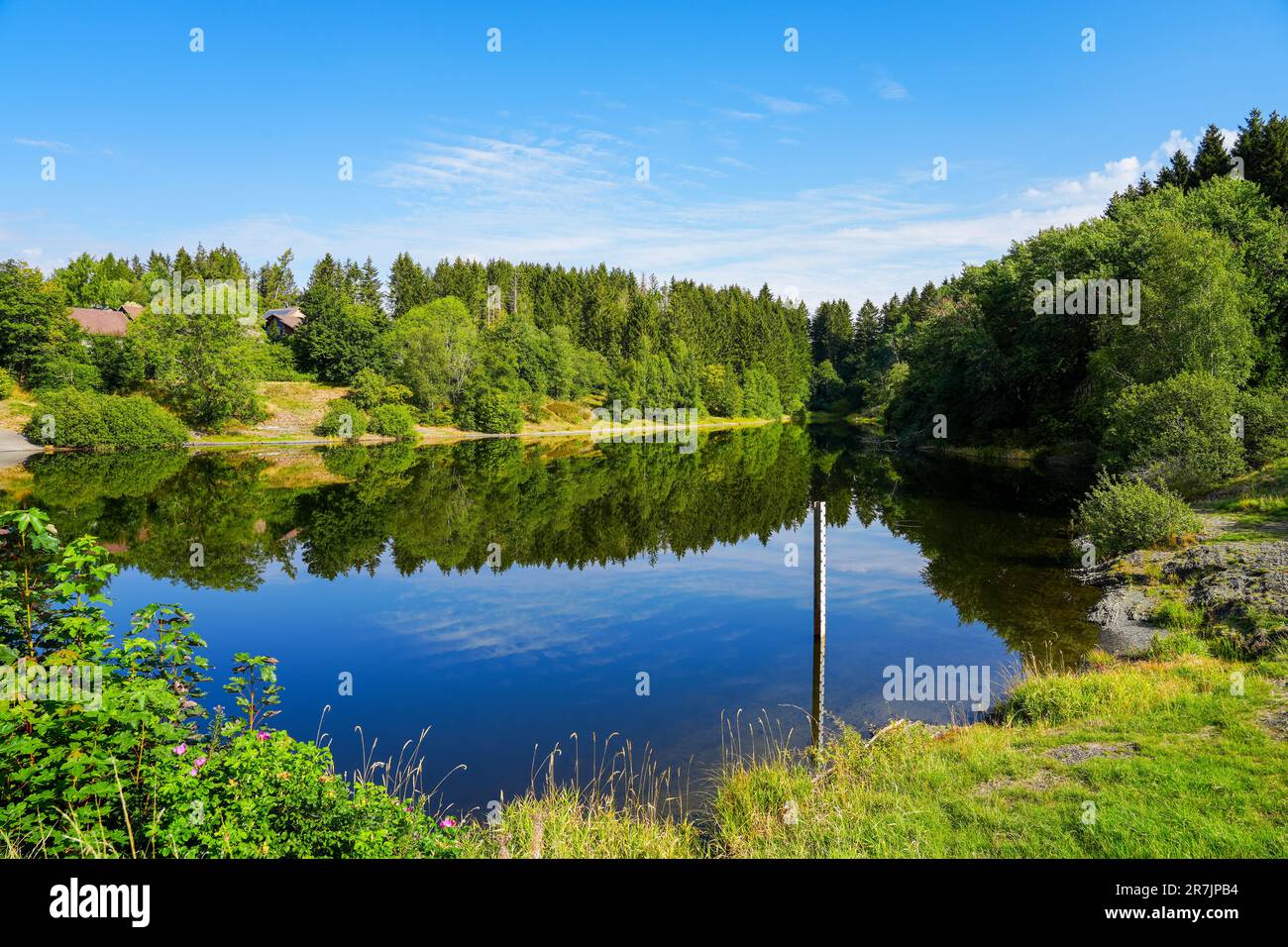 Landscape at the Unterer Eschenbacher Teich. Nature at the lake near