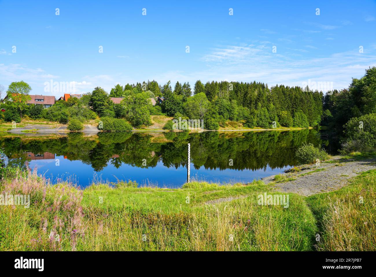 Landscape at the Unterer Eschenbacher Teich. Nature at the lake near