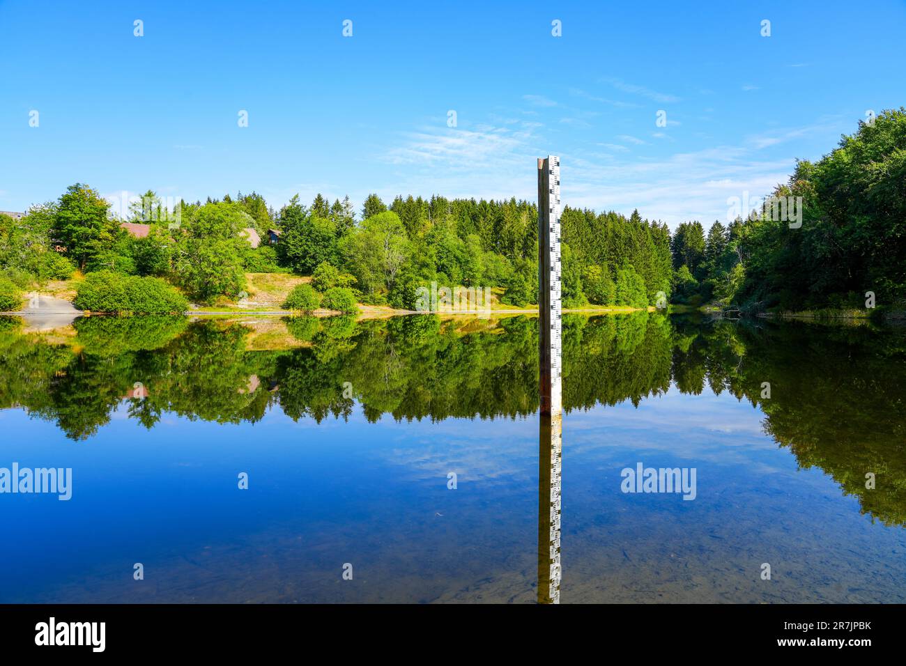 Landscape at the Unterer Eschenbacher Teich. Nature at the lake near