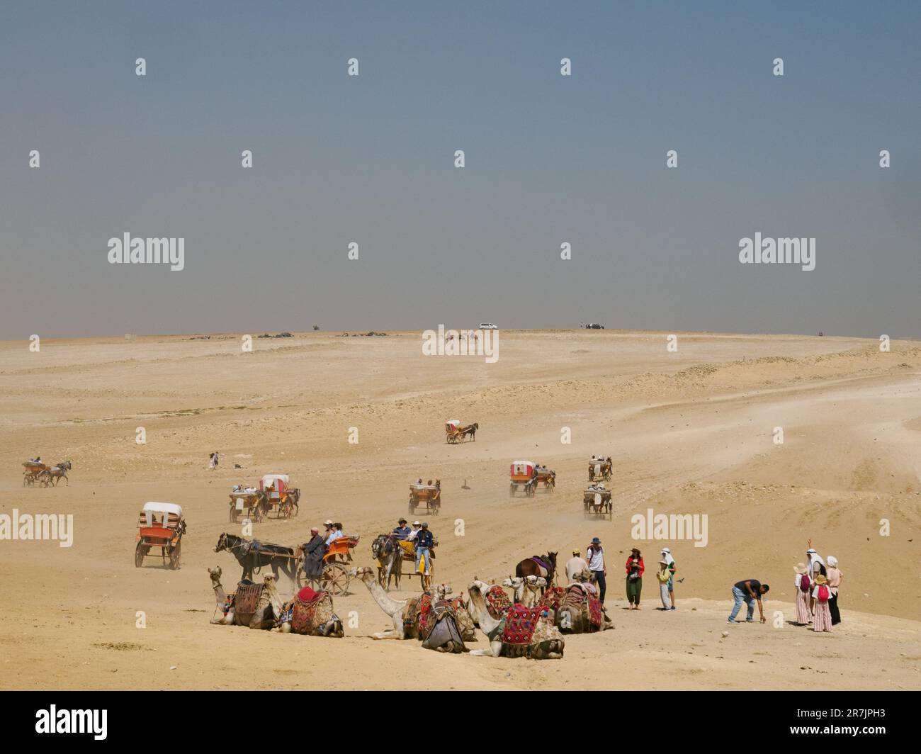 Crowd of Tourists and Camels Explore Majestic Gizeh Landscape Stock Photo