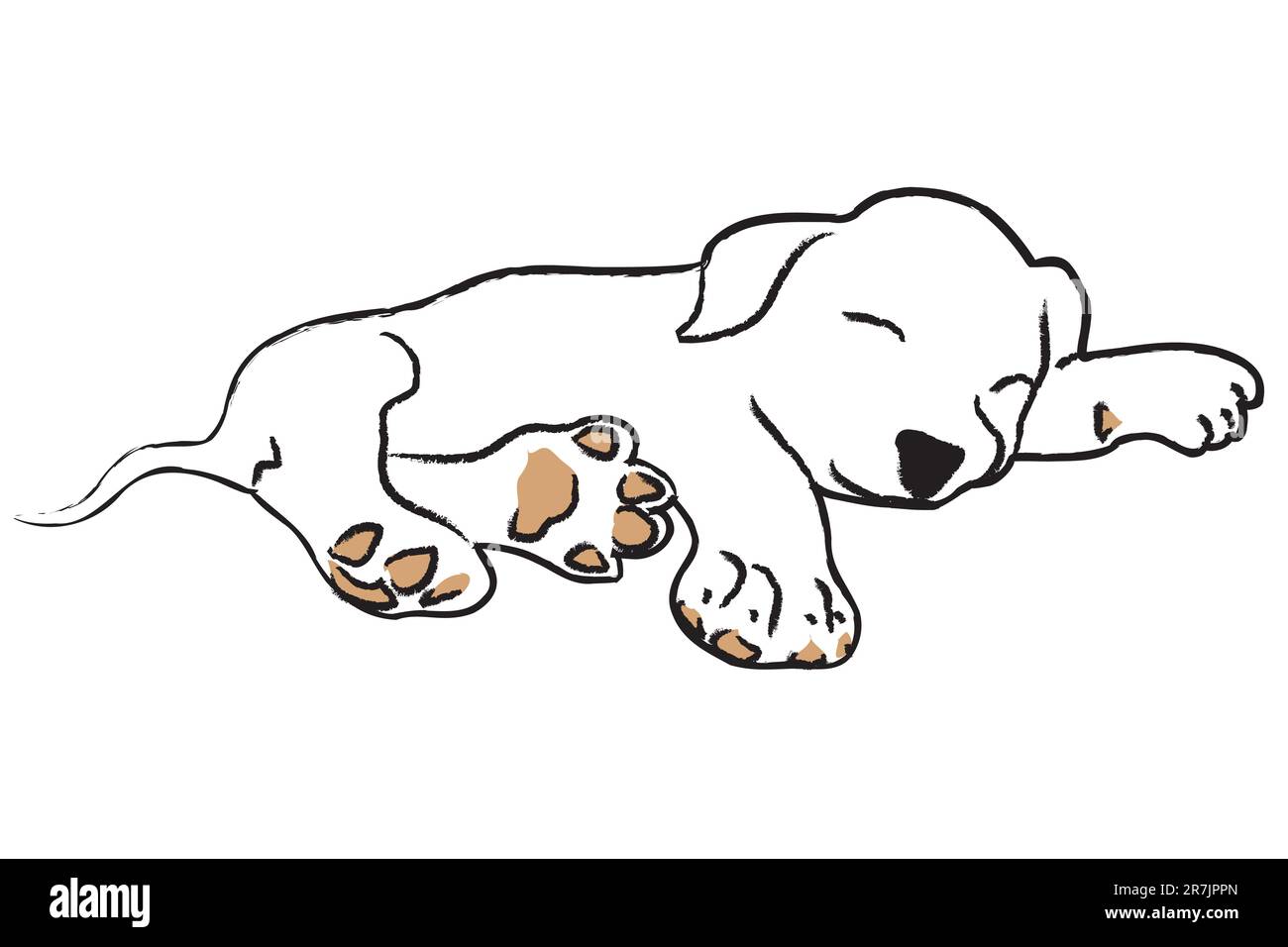 Hand drawing sleeping puppy on white background Stock Vector