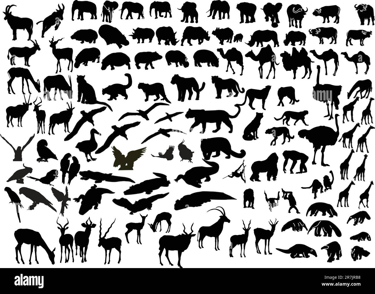 animal-of-africa-collection-vector-stock-vector-image-art-alamy