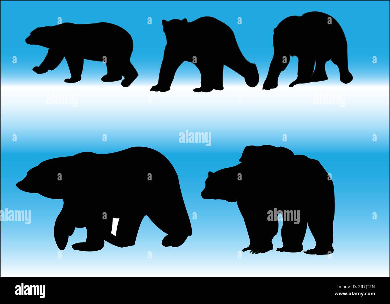 polar bears collection - vector Stock Vector Image & Art - Alamy