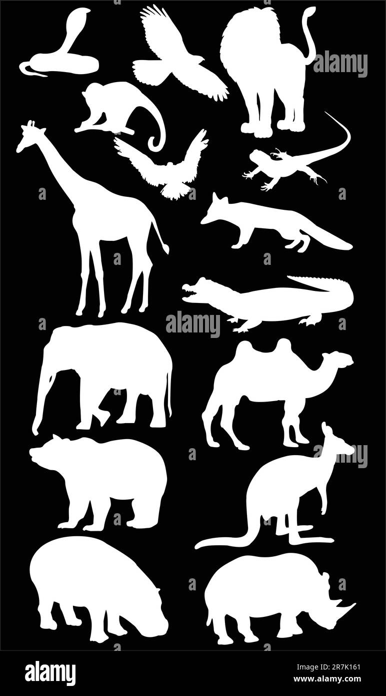 illustration of wild animal vector Stock Vector Image & Art Alamy