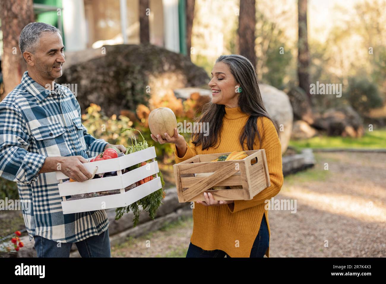 Man and woman carrying crates with freshly harvested organic vegetables talking at farm Stock Photo