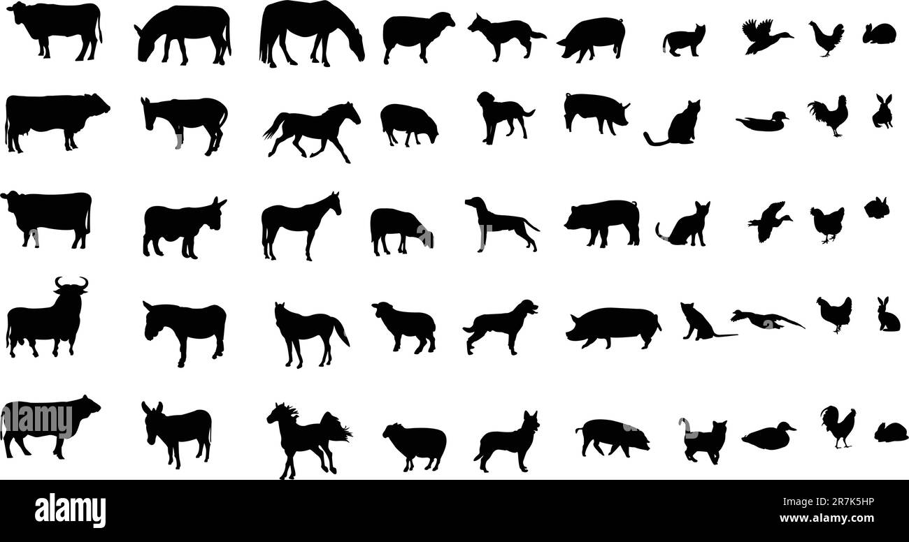 collection of farm animals silhouettes - vector Stock Vector Image ...