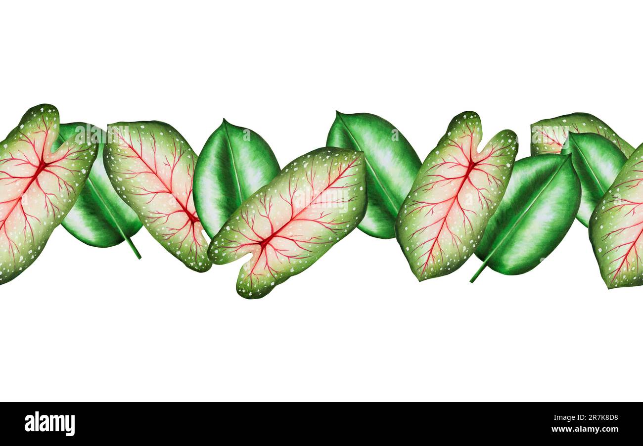 Watercolor seamless border with realistic tropical leafs. Illustration ...