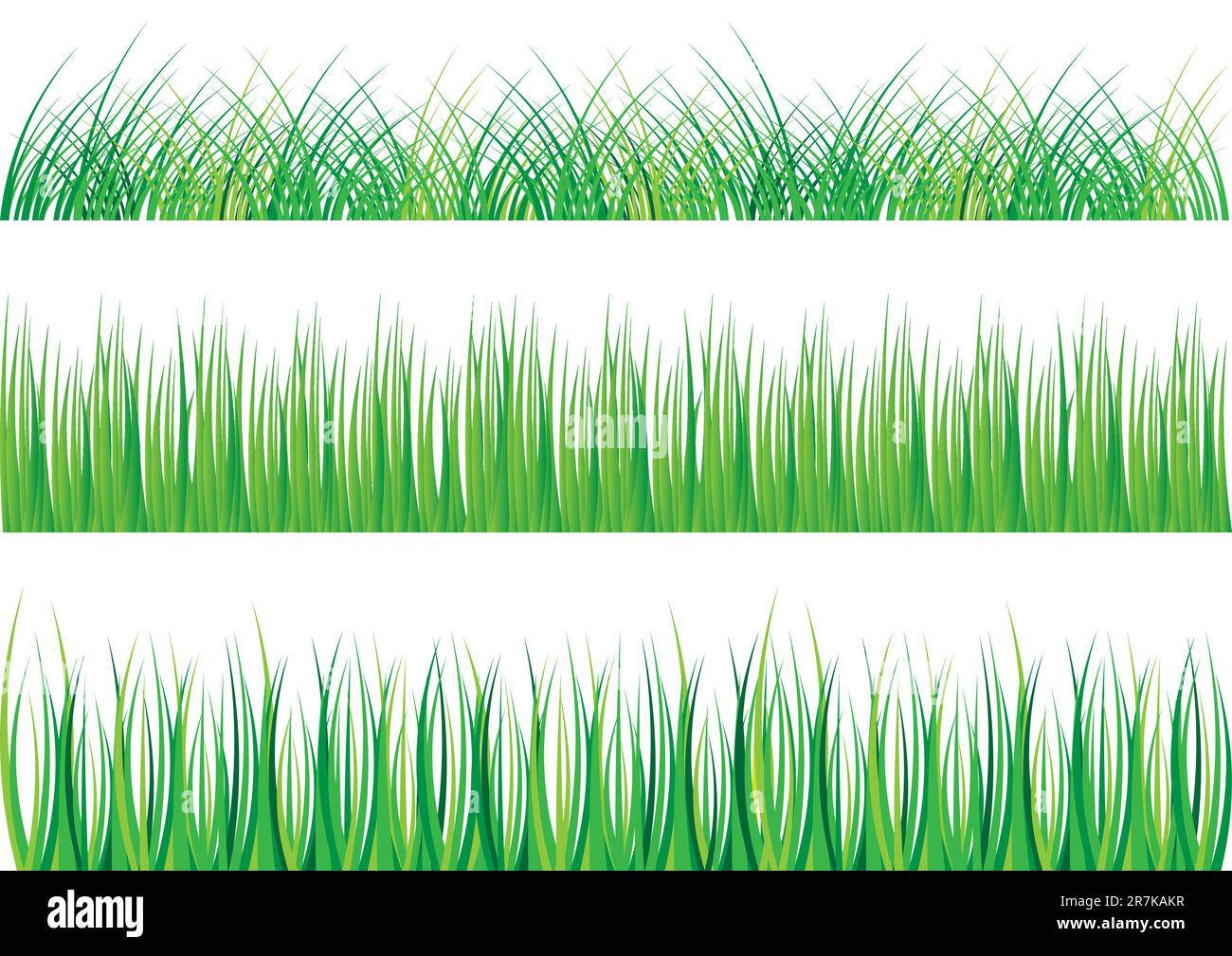 Collection of Green Grass Isolated on White Stock Vector Image & Art ...
