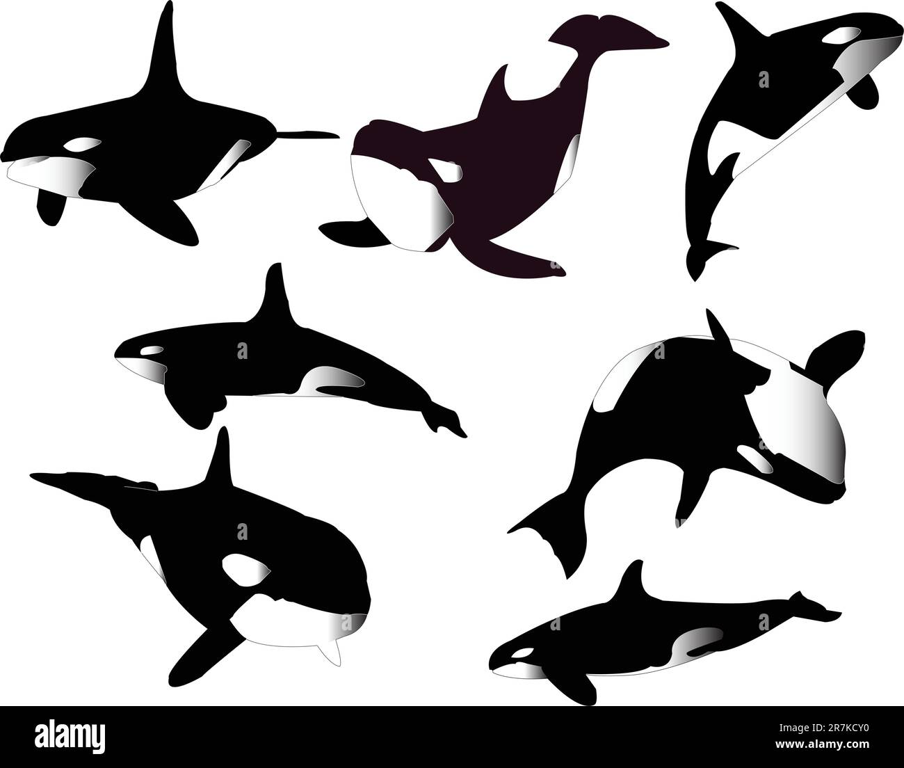 whales collection - vector Stock Vector Image & Art - Alamy