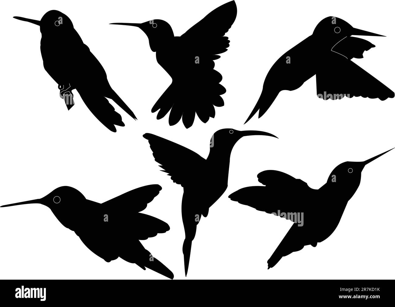 Hummingbird collection vector stock vector image art alamy