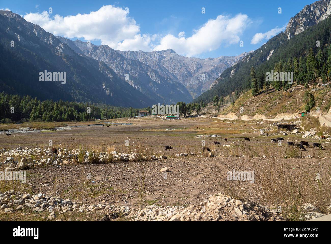 Kumrat Valley, The Panjkora River, Which Originates in the Hindu Kush