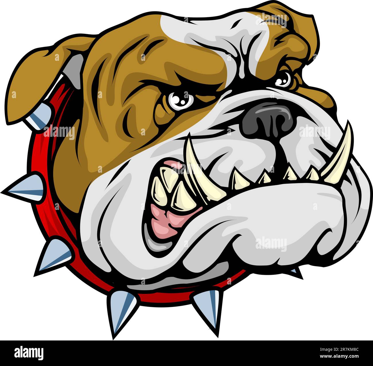Mean looking illustration of classic British bulldog face Stock Vector