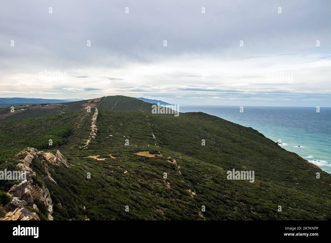 Mountain and Forest Vistas of Cap Serrat, Bizerte, Tunisia Stock Photo -  Alamy