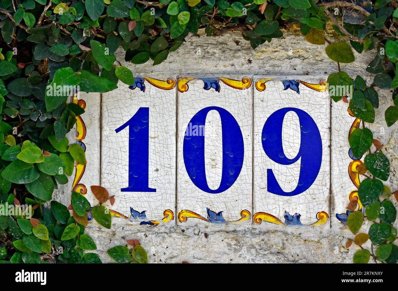Street sign number 109 on a wall with plants Stock Photo