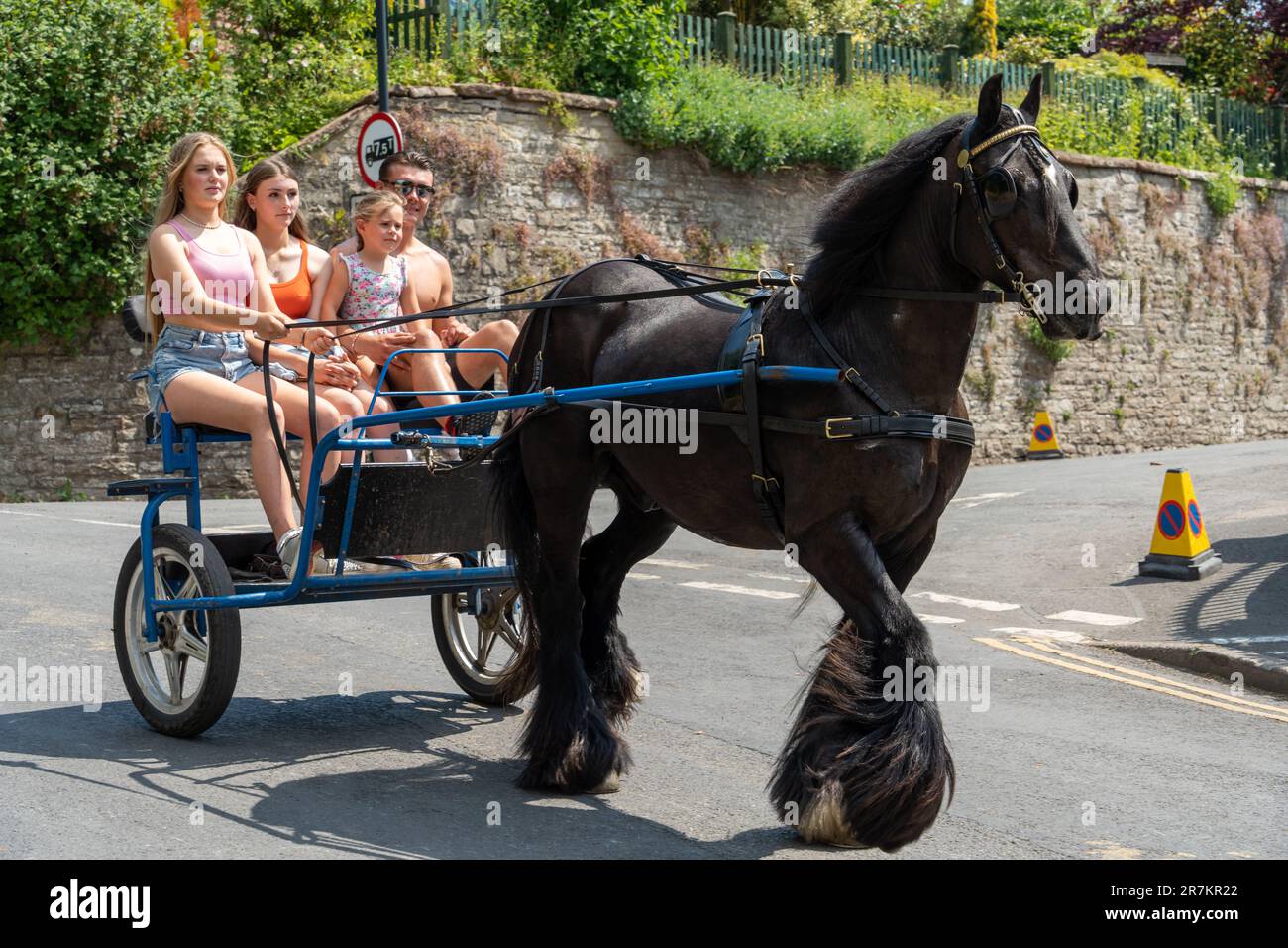 Horse drawn fish cart hi-res stock photography and images - Alamy