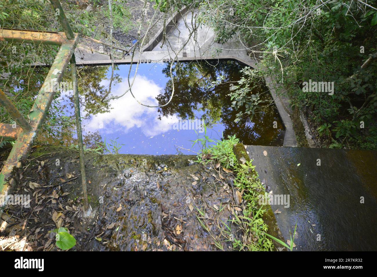 Small concrete pond with falling water from waterfall with sky reflection with clouds and vegetation. Top view. Stock Photo