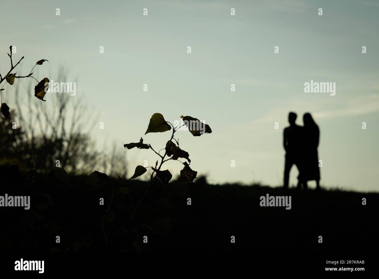Silhouette of a couple in a dark forest, illuminated by a faint light ...