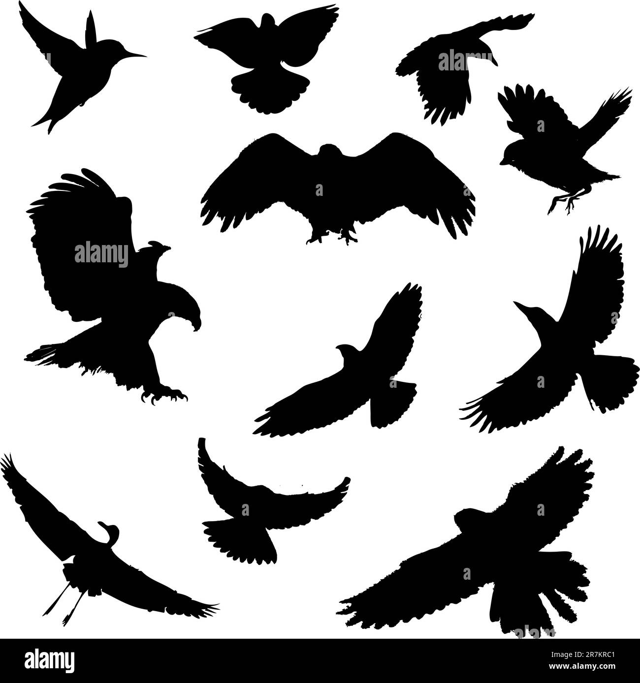 Vector image silhouettes birds on white background Stock Vector