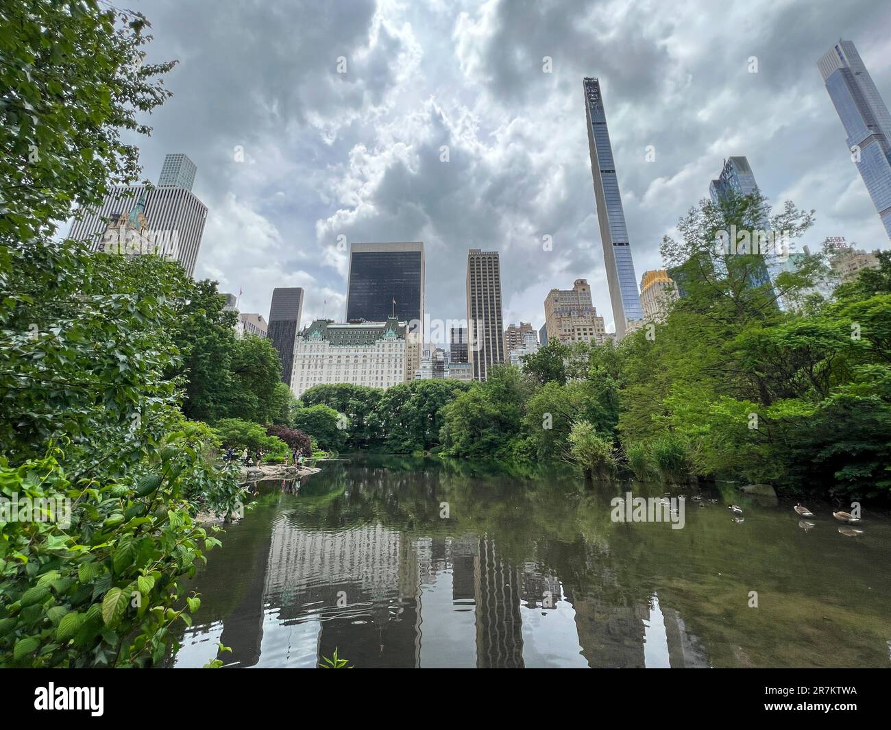 New York City, New York, USA. 23 June 2022. The Central Park Zoo animal