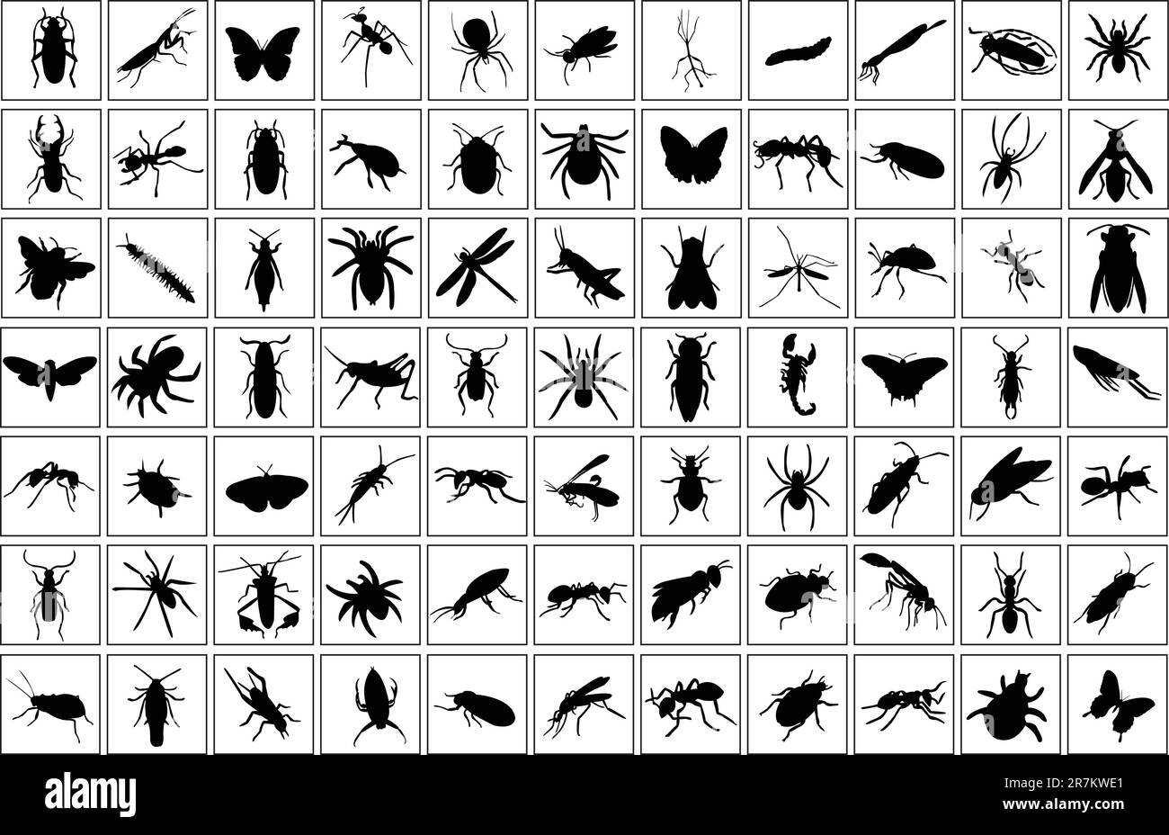 collection of bugs silhouette - vector Stock Vector